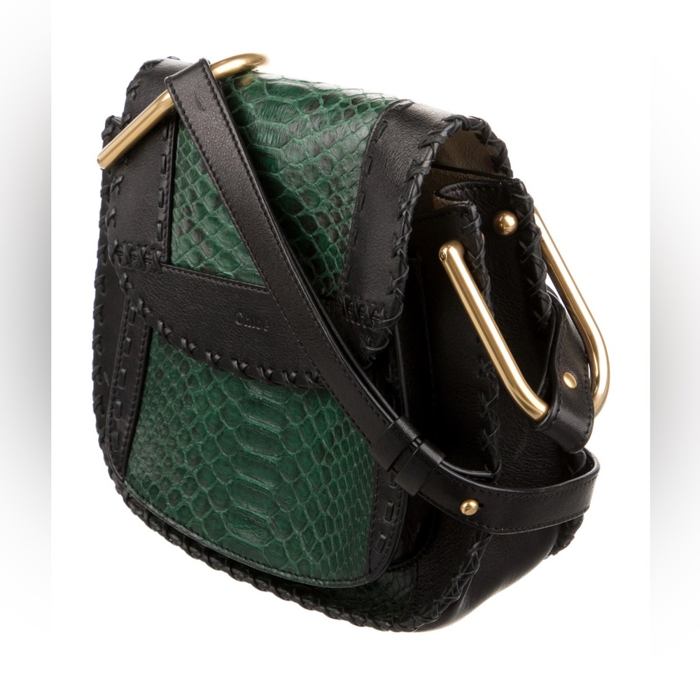 Chloe Hudson green python crossbody bag